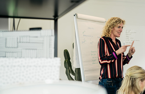 Systemisch coachen: wat is dat?